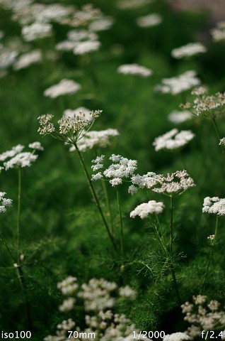 Die relativ knalligen Farben der K-01 lassen sich in den Einstellungen der Kamera bändigen. (Foto: Andreas Donath)