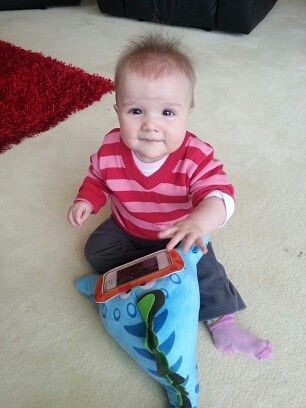 Wise-Pets (Bild: Kickstarter)