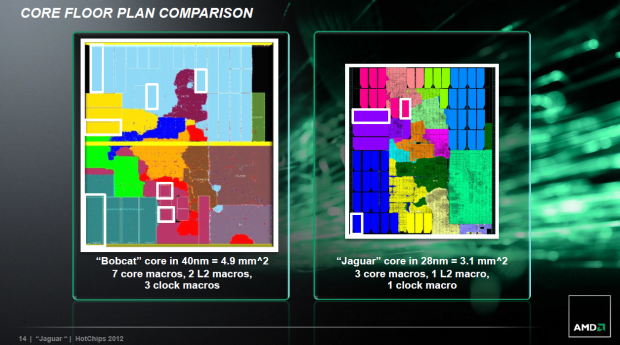 Kerne von Bobcat und Jaguar im Vergleich.