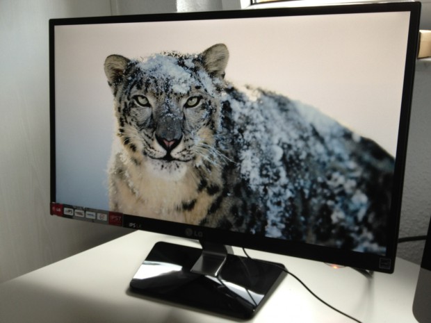 Der Rahmen um das Panel ist deutlich sichtbar. (Foto: Sebastian Schneider/Techcentury)