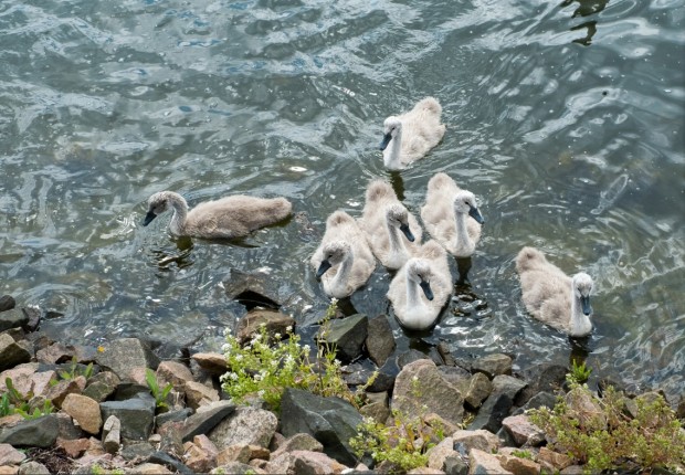 Bild ohne Fokus Peaking (Bild: Andreas Donath)