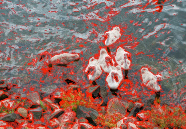 Fokus Peaking (Bild: Andreas Donath)