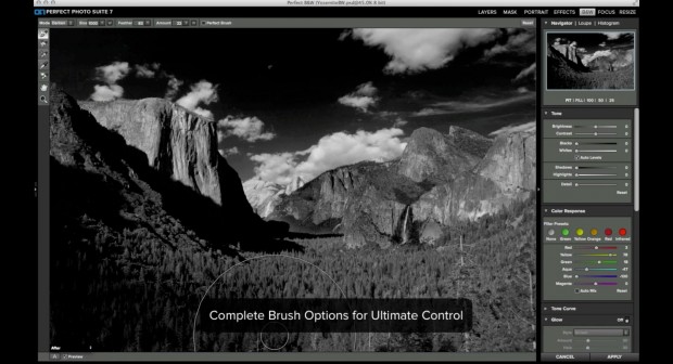 Onone Perfect B&W (Bild: Onone/Screenshot: Golem.de)