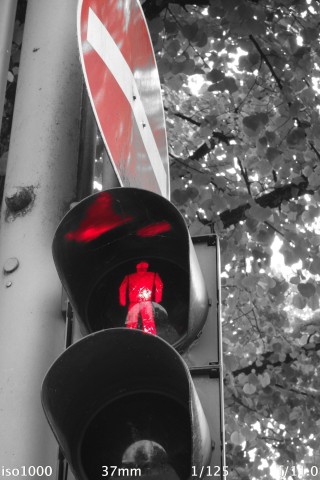 Der Farbfilter-Modus der Kamera färbt in diesem Fall alles in Schwarzweiß, was nicht rot ist. (Bild: Andreas Donath)