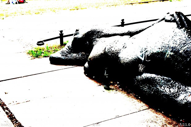 Effekt Posterisation mit Farbe - (Bild: Andreas Donath)