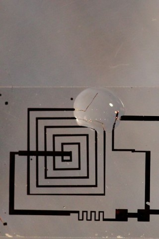 ... Körperflüssigkeiten in Kontakt kommen. (Foto: Beckman Institute/University of Illinois/Tufts University)