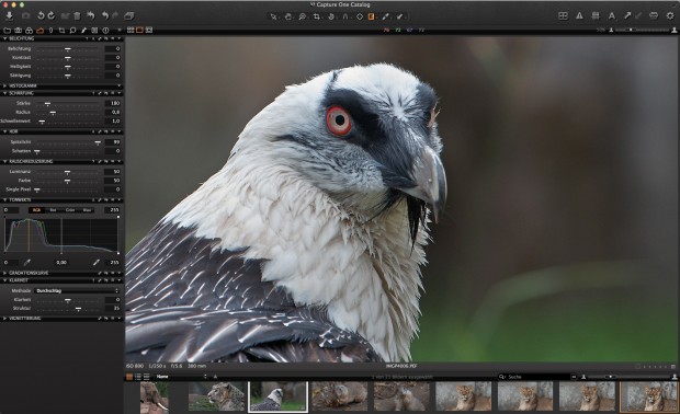 Nach Anwendung des Spitzlichter-Reglers und Klarheitsanhebung (Bild: Andreas Donath)