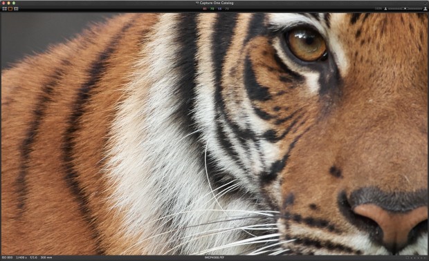 Rohdatenbild ohne Änderungen in Capture One 7 zeigt mehr Details und etwas stärkere Sättigung ... (Bild: Andreas Donath)