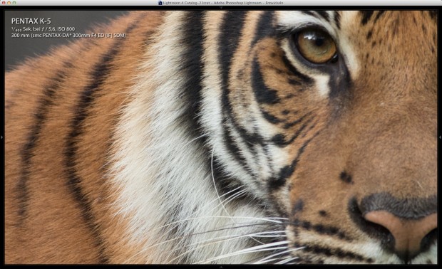 ... als das gleiche Foto in Adobe Photoshop Lightroom 4.0. (Bild: Andreas Donath)