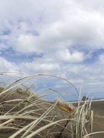 Bild mit der Hilo-Optik aufgenommen (Bild: Mark Hampton)