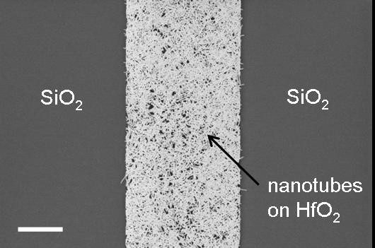 Kohlenstoff-Nanoröhren auf Hafnium-Oxid