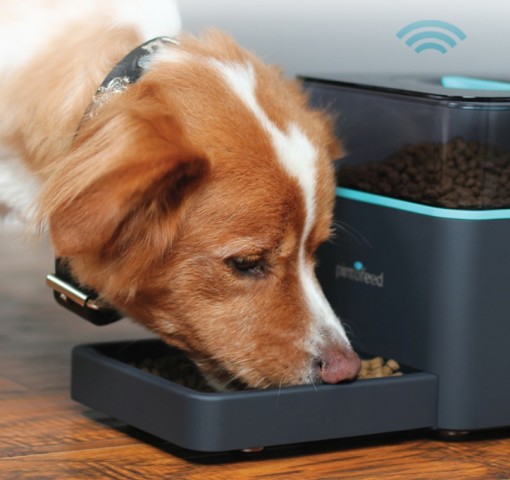 Pintofeed füttert Jake. (Bild: Indiegogo)