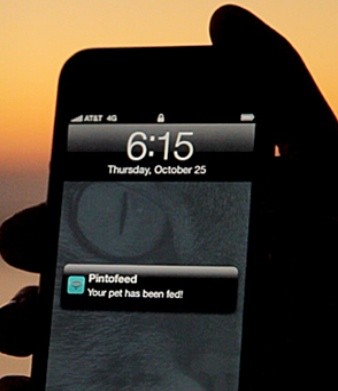 Meldung von Pintofeed (Bild: Indiegogo)