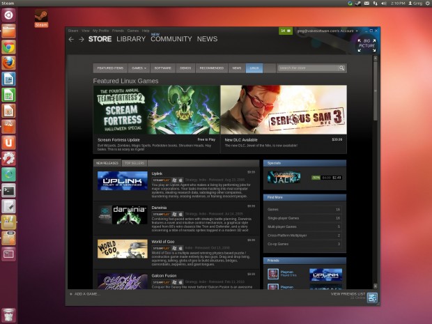 Steam für Linux (Screenshot: Valve Software)