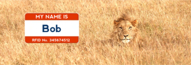 So könnte der Löwe eines Spenders heißen. (Bild: Indiegogo)