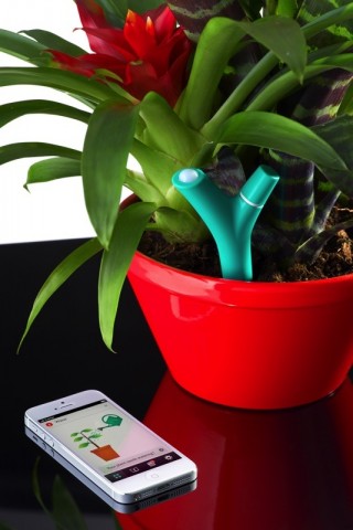 Flower Power Sensor von Parrot (Bild: Parrot)