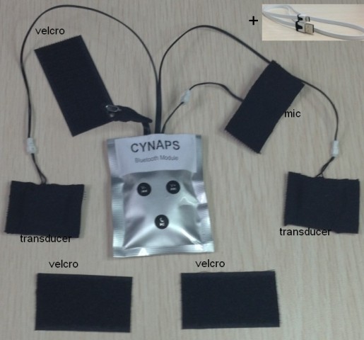 Cynaps - die Elektronik gibt es auch einzeln, statt einer Tüte soll es noch ein robusteres Gehäuse geben. (Bild: Max Virtual)