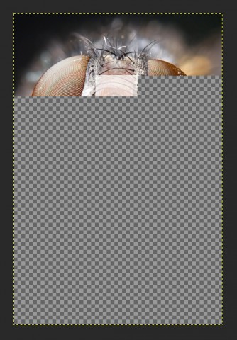 Die Berechnung von Änderungen am Bild wird in Kacheln aufgeteilt. (Bild: Gimpusers.com)