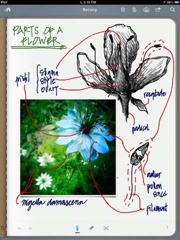 Penultimate 4 (Bild: Evernote)