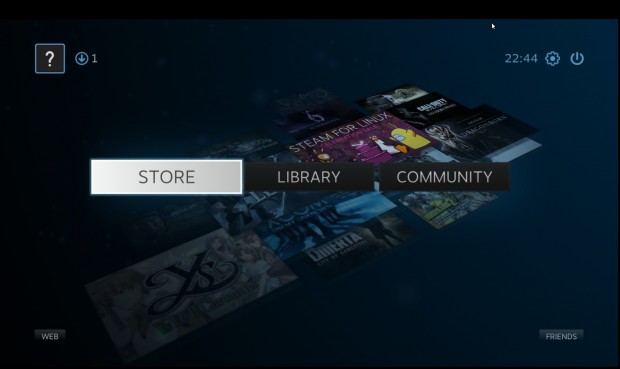 Steam für Linux (Screenshot: Golem.de)