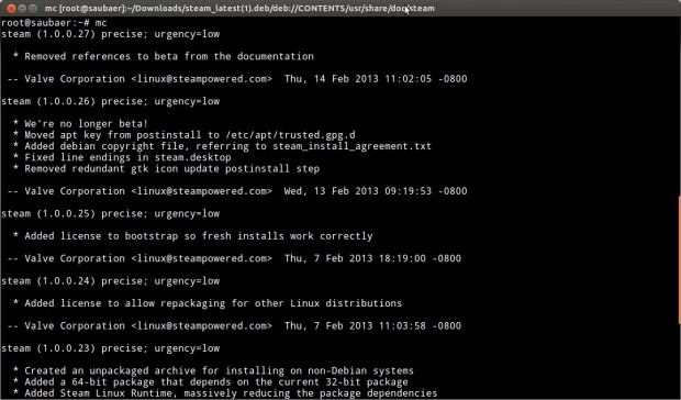 Steam für Linux (Screenshot: Golem.de)