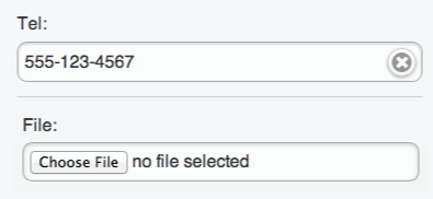 Eingabefelder lassen sich löschen.