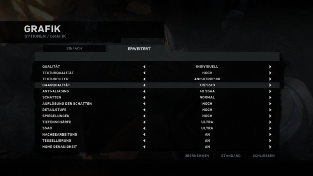 ... und die erweiterten Einstellungen (Bild: Golem.de)