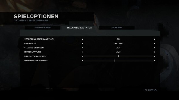 Die PC-Steuerung lässt sich weitgehend den Vorlieben des Spielers anpassen. (Bild: Golem.de)
