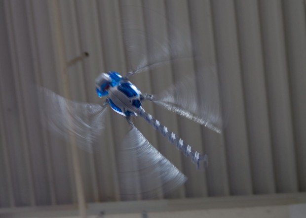 - und los geht's! (Foto: Werner Pluta/Golem.de)