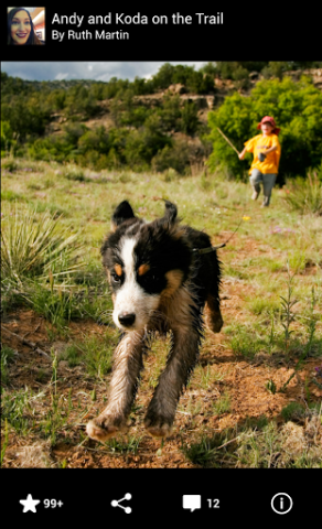 Android-App 2.0 von Flickr (Bild: Yahoo)