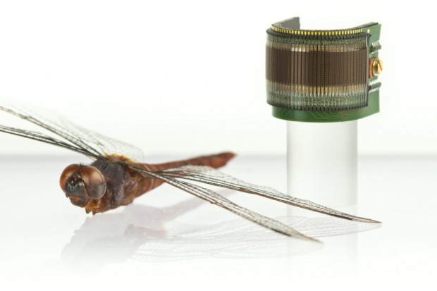 Künstliches Insektenauge (Bild: Eidgenössische Technische Hochschule Lausanne)