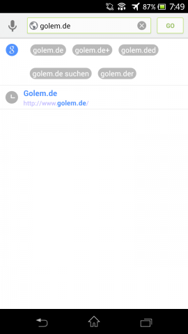 Next Browser - Eingabe in die URL-Zeile (Bild: Golem.de)