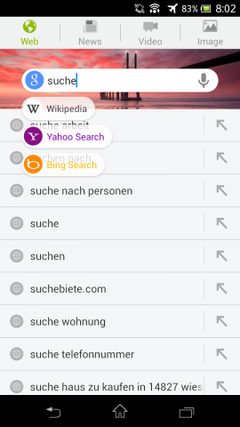 Next Browser - Suchfeld auf der Schnellwahlseite (Bild: Golem.de)