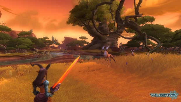 Wildstar