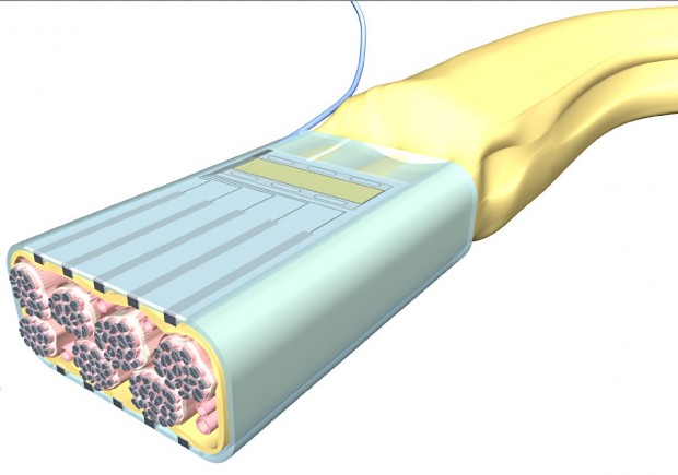 Fine: Eine Elektrode übermittelt sensorische Daten an Nervenzellen. Der Prothesenträger spürt, wenn er etwas greift. (Bild: Darpa)