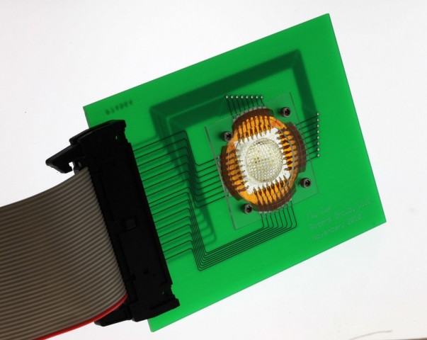 Die Linsen werden zu&auml;chst flach angeordnet und dann zu einer Hemisph&auml;re verformt. (Foto: John Rogers/University of Illinois)