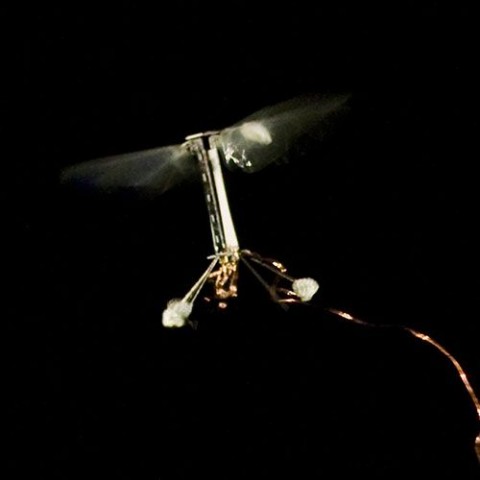 Die Mindrohne fliegt kontrolliert. (Foto: Kevin Ma/Pakpong Chirarattananon)