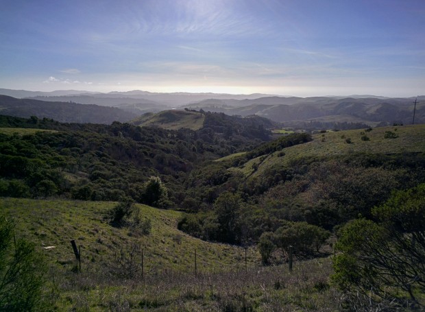 Foto mit Google Glass nach dem Update (Bild: Google)
