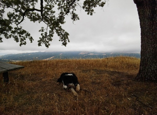Foto mit Google Glass vor dem Update (Bild: Google)