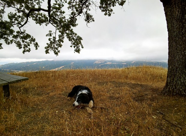 Foto mit Google Glass nach dem Update (Bild: Google)