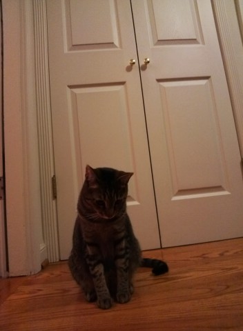 Foto mit Google Glass vor dem Update (Bild: Google)