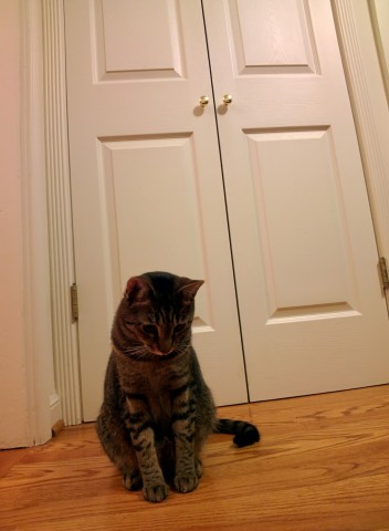 Foto mit Google Glass nach dem Update (Bild: Google)