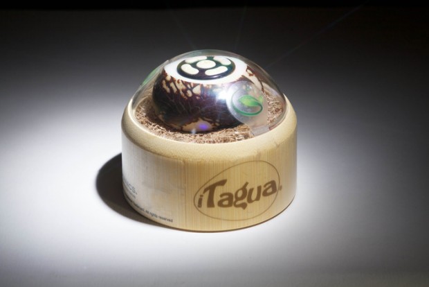 Die biologisch abbaubare Verpackung (Bild: Kickstarter/Cybotanics)