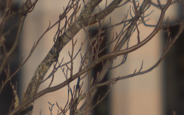 ... und die bearbeitete Version (Bild: UBC)