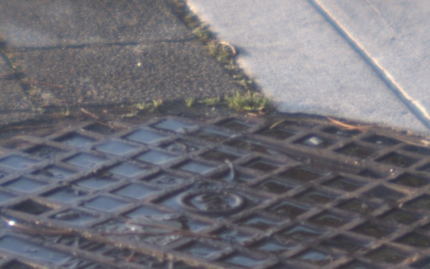 Das Ursprungsbild ... (Bild: UBC)