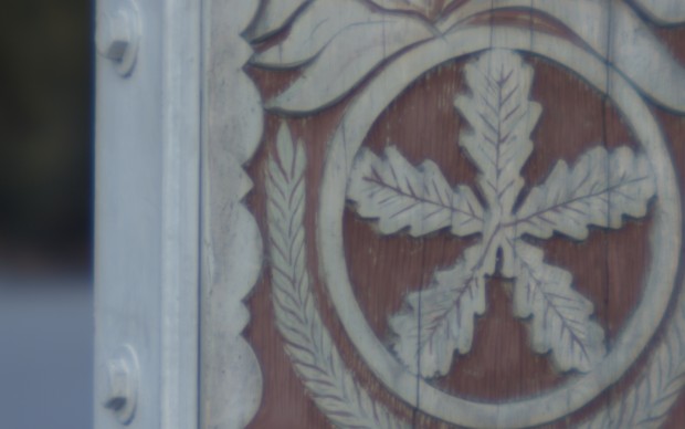 Das Ursprungsbild ... (Bild: UBC)