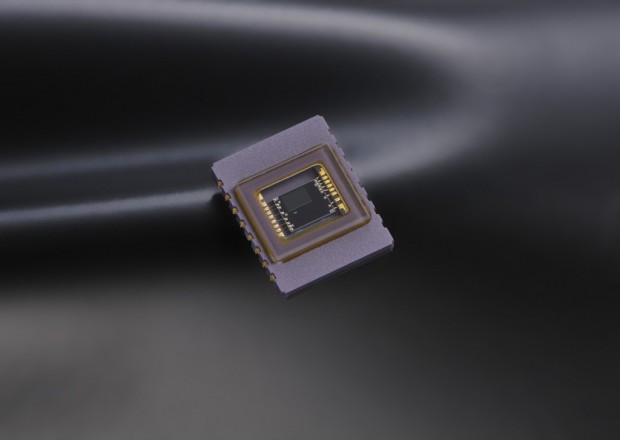 RGB-Sensor der Nikon D610 (Bild: Nikon)
