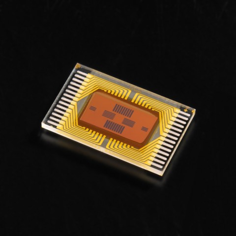 Autofokus-Sensor der Pentax K-3 (Bild: Ricoh)