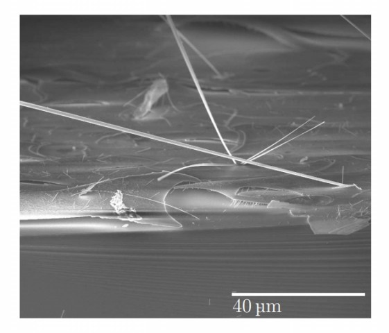 Bei zu hoher Temperatur über einen längeren Zeitraum reagiert das Wolfram mit Sauerstoff und führt zu starken Beschädigungen an der Platte. (Bild: Jeroen de Vries et al.)