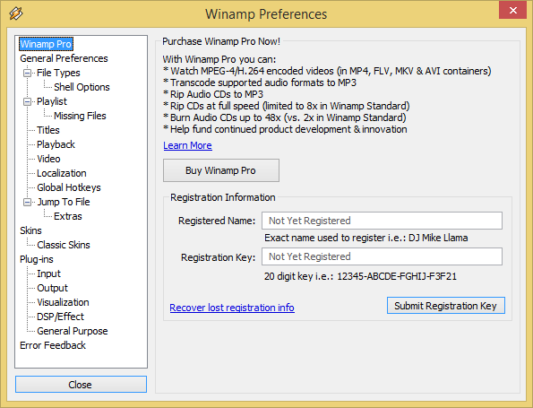 Die Pro-Variante l&auml;sst sich nicht mehr kaufen.  (Screenshot: Golem.de)